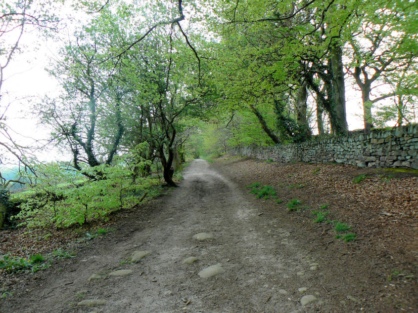 North Lane North Lane